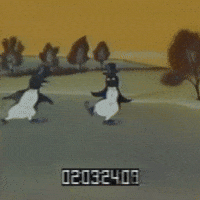 Stevie Nicks 70S GIF
