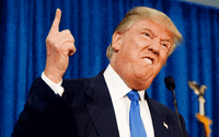 gets donald trump GIF
