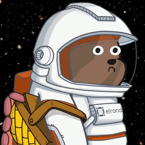 Moon Bear