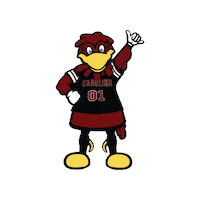 University Of South Carolina Gamecocks Sticker by UofSC CIEL