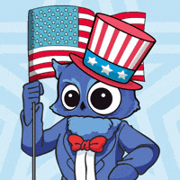 Celebration Usa GIF by BigBrains