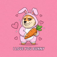 Shiba Inu Love GIF by Doge Pound