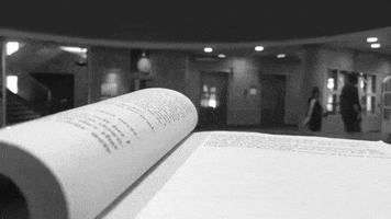 book umdlibrary GIF by Kathryn A. Martin Library