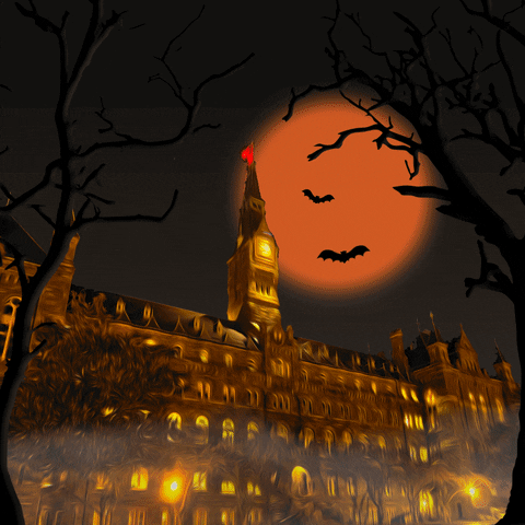 georgetownalumni giphyupload GIF