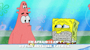 season 9 GIF by SpongeBob SquarePants