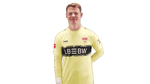 Vfb Stuttgart Football Sticker by Bundesliga