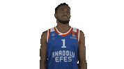 anadolu efes basketball Sticker by EuroLeague