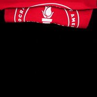 New York City Democratic Socialists Of America GIF by NYC-DSA