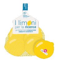 Lemon Veg Sticker by Citrus