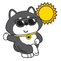 Sunglasses Weather Sticker by SHIBAINC