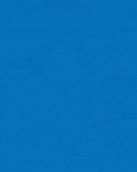 Z S C GIF by ZSC Esports