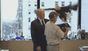Bald Eagle Trump GIF