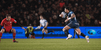 SaleSharks rugby sale sharks gallagherprem salesharks GIF