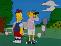 homer simpson GIF