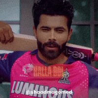 Rajasthan Royals Rr GIF
