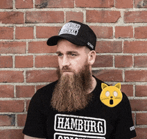 Heyhombrehamburg cat GIF