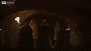 season 8 GIF by Sky