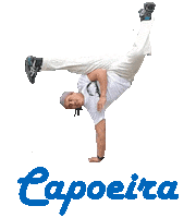 Capoeira Sticker by capoeiraluebeckmli