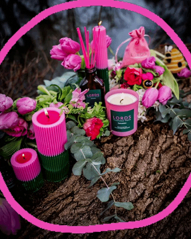 lordsfragrancehouse giphyattribution pink green candles GIF