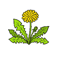Pusteblume Sticker by startgmbh