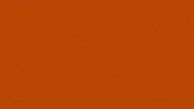 bravomusique clap bravo bravomusique GIF