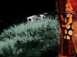 Vintage GIF by jorgemariozuleta