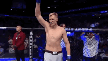 ufc 229 sport GIF by UFC