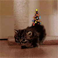 Animated GIF