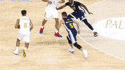 Assist Real Madrid GIF by ACB