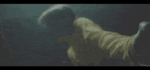 Contemporary Dance GIF by Topshelf Records