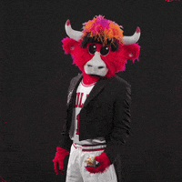 Red Bull Sport GIF by Chicago Bulls