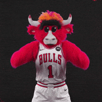 Oh No Sport GIF by Chicago Bulls