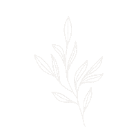 Flowers Цветы Sticker