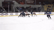 Ice Hockey GIF by Norwich University