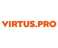 vp gogovp Sticker by Virtus.pro