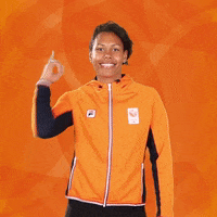 TeamNL blij juichen teamnl nocnsf GIF