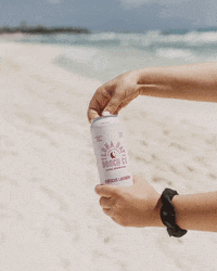 LunaBayBooch drink beach kombucha booch GIF