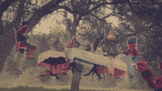 #music #imagine GIF by Sony Music Colombia