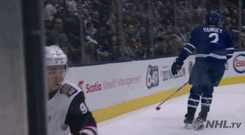 happy ice hockey GIF by NHL