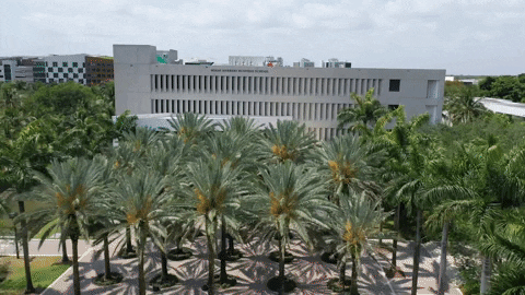 College Biz GIF by Miami Herbert Business School at the University of Miami