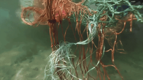 superredranga giphyupload GIF