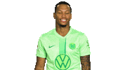 Like A Boss Deal With It Sticker by VfL Wolfsburg
