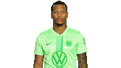 Football No Sticker by VfL Wolfsburg