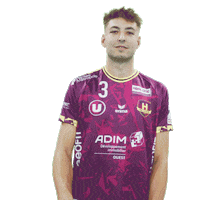 Handball Sticker by HBCNantes