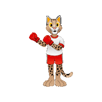 Boxeo Tirika Sticker by ASU2022