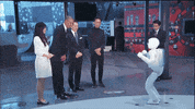 happy show GIF