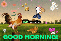 ZyptoPower crypto good morning morning bitcoin GIF