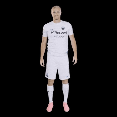 Jan Palecnahoru GIF by FC Slovan Liberec