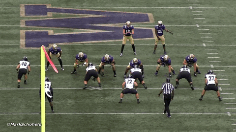 mascho030916 giphyupload GIF