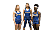 College Sports Ncaa Sticker by Delaware Blue Hens